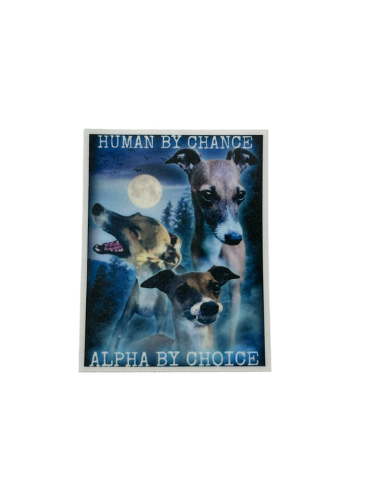 Alpha Sticker